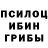 Галлюциногенные грибы Cubensis Jeondior