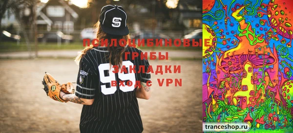 молекула духа Аркадак