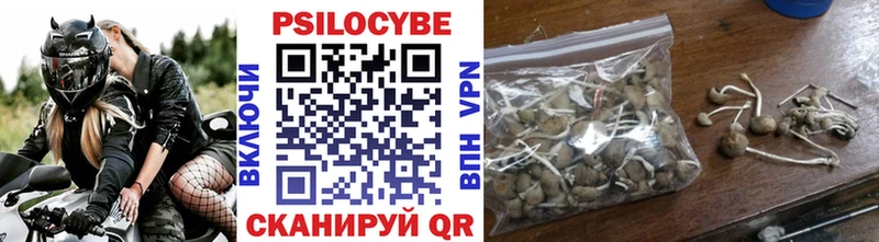 omg как войти  Гаджиево  Галлюциногенные грибы мухоморы 